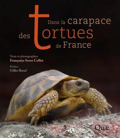 Cover of the book Dans la carapace des tortues de France