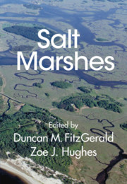 Couverture de l’ouvrage Salt Marshes