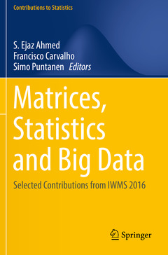 Couverture de l’ouvrage Matrices, Statistics and Big Data