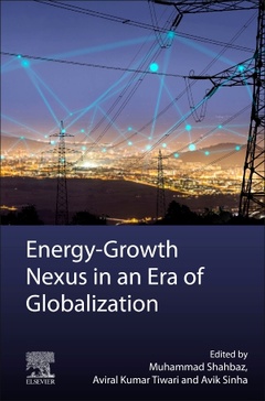 Cover of the book Energy-Growth Nexus in an Era of Globalization