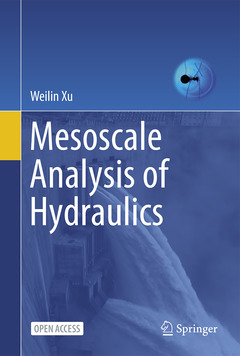 Couverture de l’ouvrage Mesoscale Analysis of Hydraulics