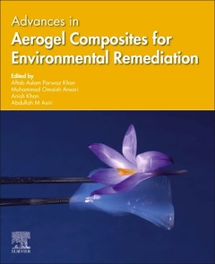 Cover of the book Advances in Aerogel Composites for Environmental Remediation