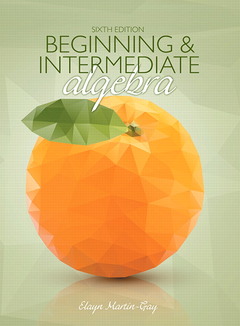 Cover of the book Beginning & Intermediate Algebra