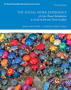 Couverture de l’ouvrage Social Work Experience, The
