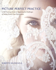 Couverture de l’ouvrage Picture Perfect Practice