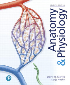 Couverture de l’ouvrage Anatomy & Physiology