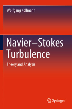 Couverture de l’ouvrage Navier-Stokes Turbulence