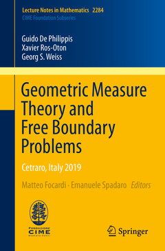 Cover of the book Geometric Measure Theory and Free Boundary Problems