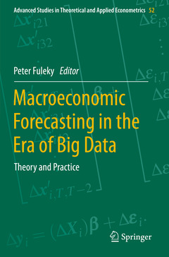 Couverture de l’ouvrage Macroeconomic Forecasting in the Era of Big Data