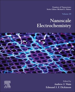 Couverture de l’ouvrage Nanoscale Electrochemistry