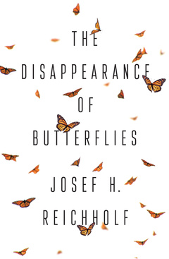 Couverture de l’ouvrage The Disappearance of Butterflies
