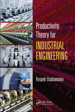Couverture de l’ouvrage Productivity Theory for Industrial Engineering