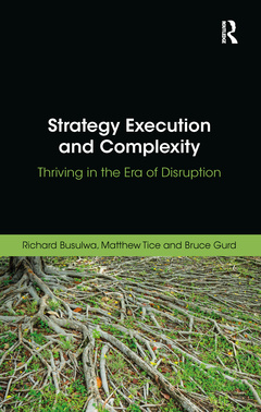 Cover of the book Strategy Execution and Complexity
