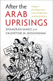 Couverture de l’ouvrage After the Arab Uprisings