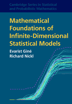 Couverture de l’ouvrage Mathematical Foundations of Infinite-Dimensional Statistical Models