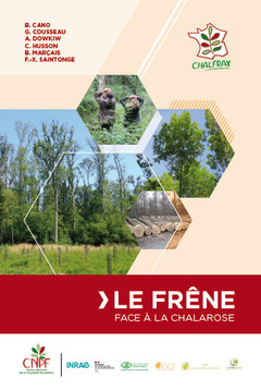 Cover of the book Le Frêne face à la chalarose