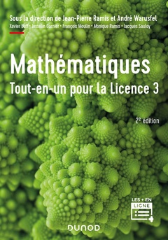 Couverture de l’ouvrage Mathématiques Tout-en-un pour la Licence 3 - 2e éd.