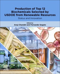 Cover of the book Production of Top 12 Biochemicals Selected by USDOE from Renewable Resources