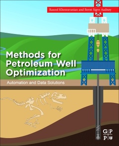 Couverture de l’ouvrage Methods for Petroleum Well Optimization