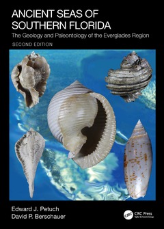 Cover of the book Ancient Seas of Southern Florida