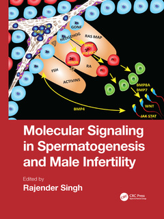 Couverture de l’ouvrage Molecular Signaling in Spermatogenesis and Male Infertility