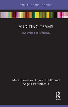 Couverture de l’ouvrage Auditing Teams