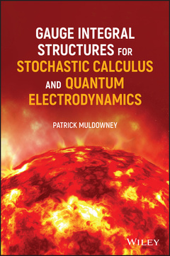 Couverture de l’ouvrage Gauge Integral Structures for Stochastic Calculus and Quantum Electrodynamics