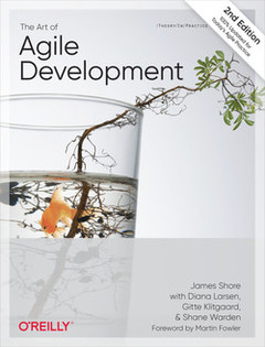 Cover of the book The Art of Agile Development