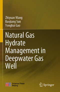 Couverture de l’ouvrage Natural Gas Hydrate Management in Deepwater Gas Well