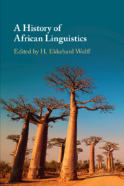 Couverture de l’ouvrage A History of African Linguistics
