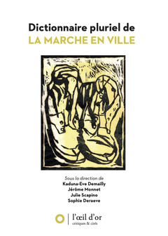 Cover of the book Dictionnaire pluriel de la marche en ville