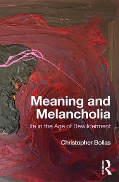Couverture de l’ouvrage Meaning and Melancholia