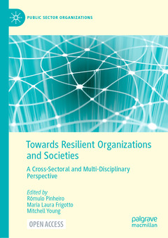 Couverture de l’ouvrage Towards Resilient Organizations and Societies