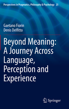 Couverture de l’ouvrage Beyond Meaning: A Journey Across Language, Perception and Experience