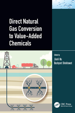 Couverture de l’ouvrage Direct Natural Gas Conversion to Value-Added Chemicals
