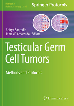 Couverture de l’ouvrage Testicular Germ Cell Tumors