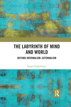 Couverture de l’ouvrage The Labyrinth of Mind and World