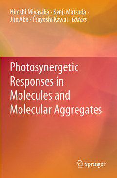 Couverture de l’ouvrage Photosynergetic Responses in Molecules and Molecular Aggregates