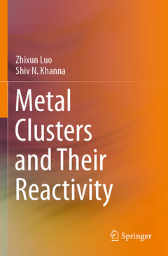 Couverture de l’ouvrage Metal Clusters and Their Reactivity