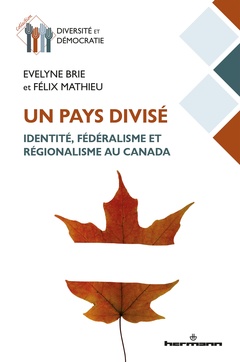 Cover of the book Un pays divisé