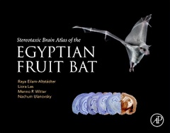 Couverture de l’ouvrage Stereotaxic Brain Atlas of the Egyptian Fruit Bat