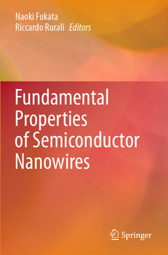 Couverture de l’ouvrage Fundamental Properties of Semiconductor Nanowires