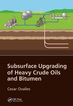 Couverture de l’ouvrage Subsurface Upgrading of Heavy Crude Oils and Bitumen