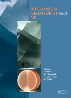 Couverture de l’ouvrage Mechanical Behaviour of Salt VII