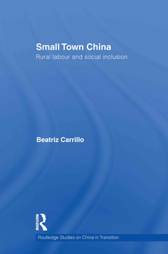 Cover of the book Small Town China