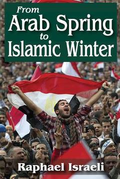 Cover of the book From Arab Spring to Islamic Winter