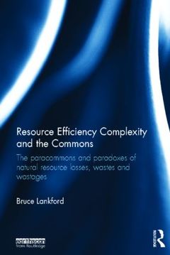 Couverture de l’ouvrage Resource Efficiency Complexity and the Commons