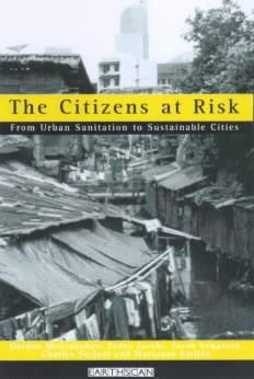 Cover of the book The Citizens at Risk