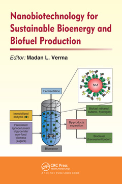 Cover of the book Nanobiotechnology for Sustainable Bioenergy and Biofuel Production