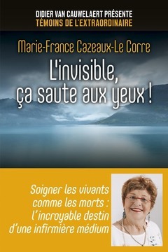 Cover of the book L'invisible, ça saute aux yeux !